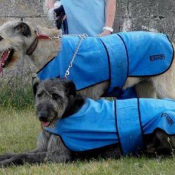 easidri Other - NIB Easidri High Performance Cooling Coat for dogs, size Large